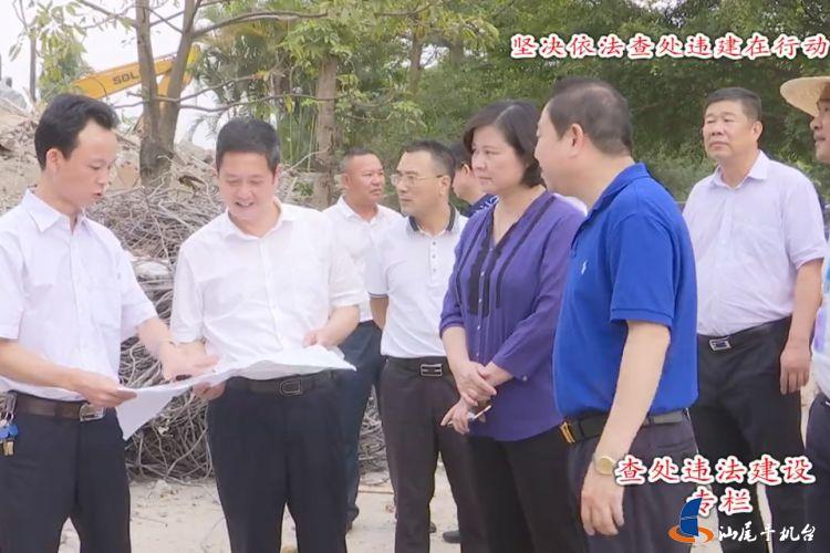 杨扬率队到海丰县调研拆违控违工作_时政新闻_汕尾广播电视台